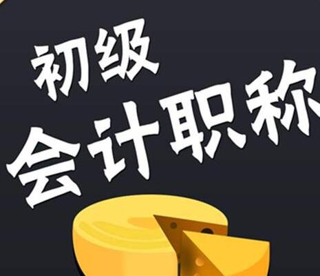 初级会计师可以从事什么职业？