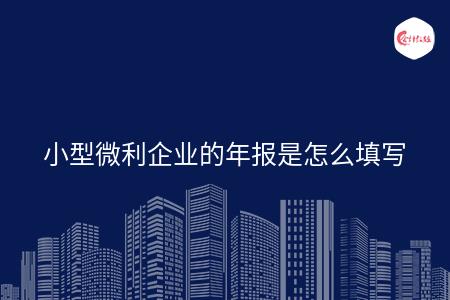小型微利企业的年报是怎么填写