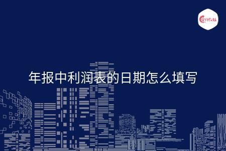 年报中利润表的日期怎么填写