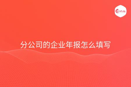 分公司的企业年报怎么填写