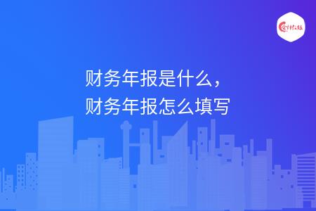 财务年报是什么，财务年报怎么填写