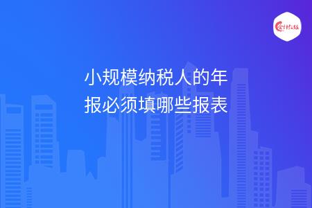小规模纳税人的年报必须填哪些报表