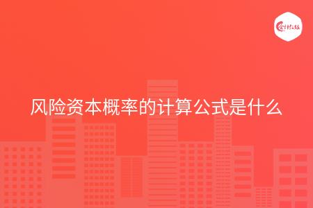 风险资本概率的计算公式是什么