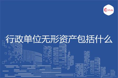 行政单位无形资产包括什么