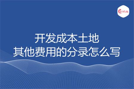 开发成本土地其他费用的分录怎么写