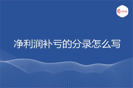 净利润补亏的分录怎么写