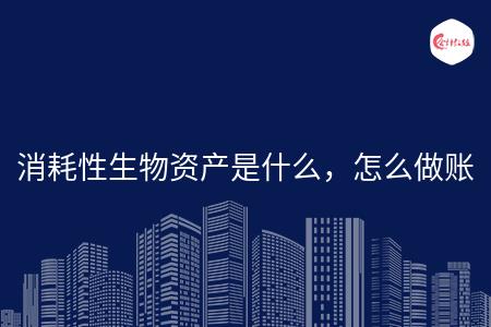 _wz_imgs_3bac1f6082c0239f6d9bfeace2234121