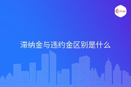 _wz_imgs_503e9ba13a825169368a7ec89fa982a8