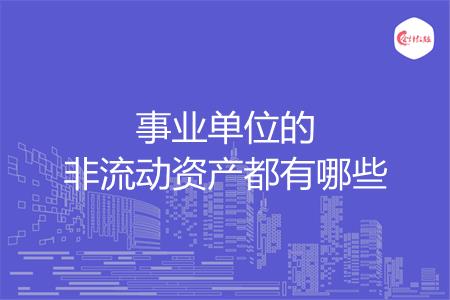 事业单位的非流动资产都有哪些