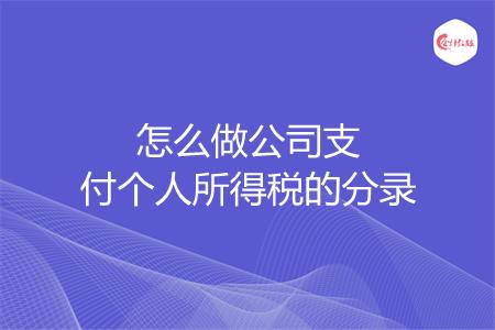 怎么做公司支付个人所得税的分录