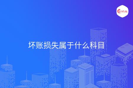 坏账损失属于什么科目