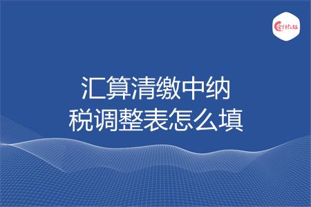 汇算清缴中纳税调整表怎么填